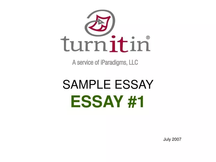 sample essay essay 1