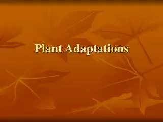 Plant Adaptations