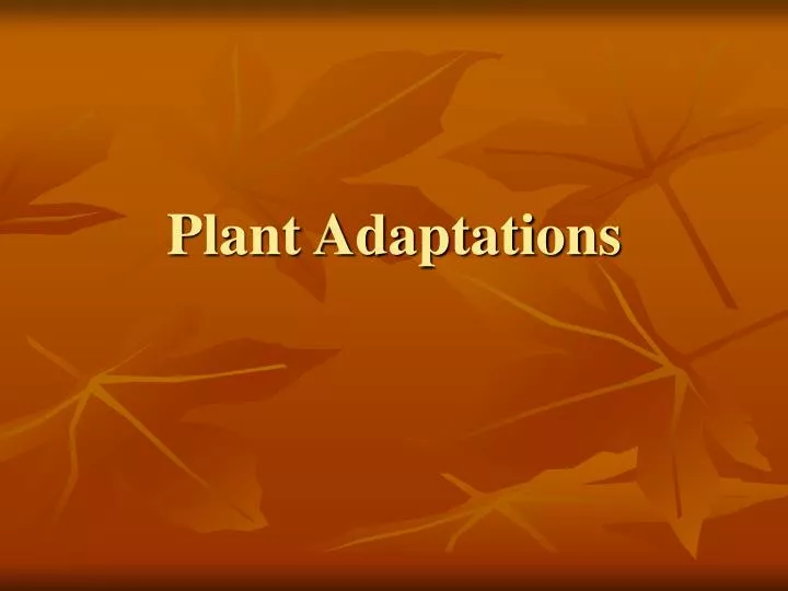 PPT - Plant Adaptations PowerPoint Presentation, Free Download - ID:5532592