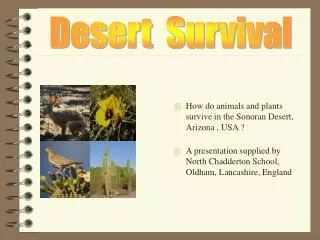How do animals and plants survive in the Sonoran Desert, Arizona , USA ?
