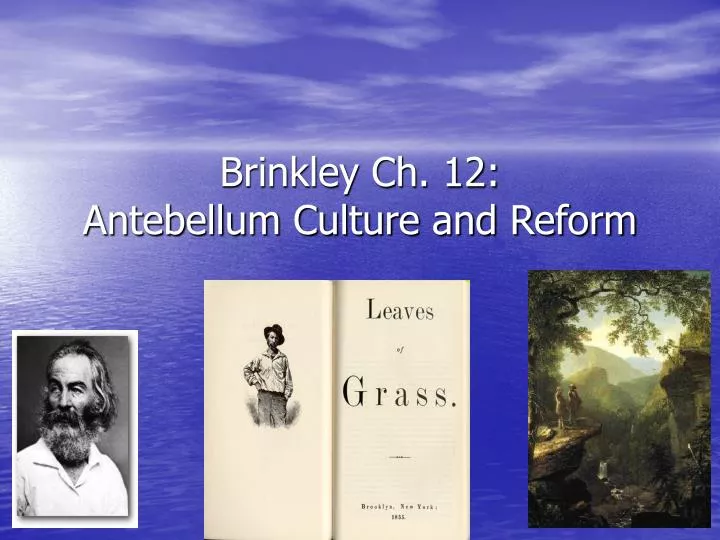 brinkley ch 12 antebellum culture and reform
