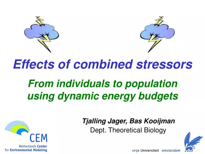 effects of combined stressors