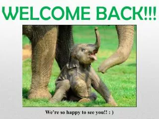 WELCOME BACK!!!