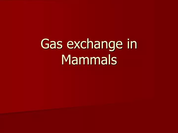 gas exchange in mammals