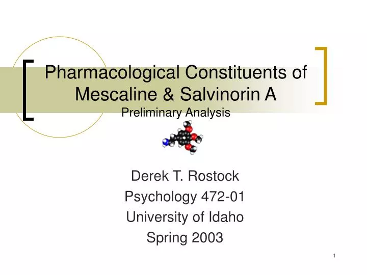 pharmacological constituents of mescaline salvinorin a preliminary analysis