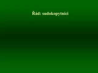d sudokopytn ci