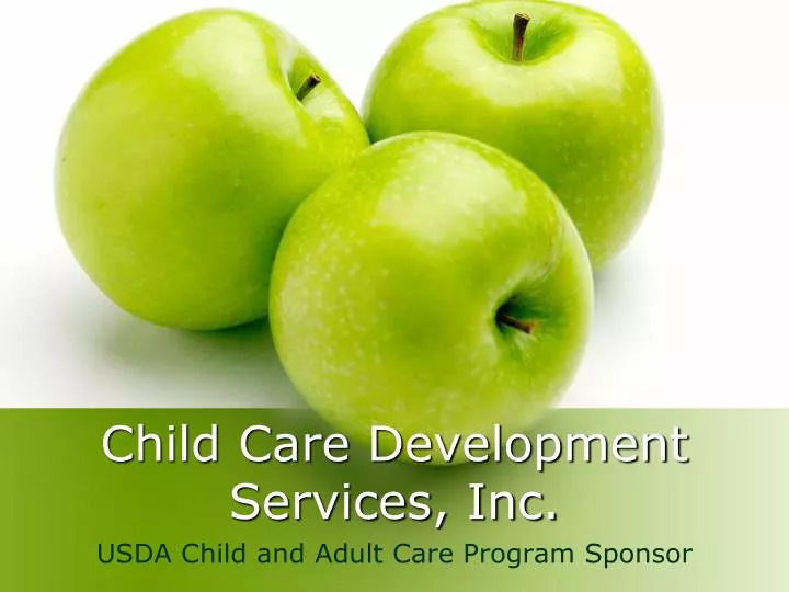 child care development services inc