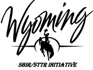 SBIR/STTR Initiative