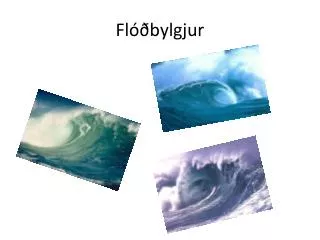 fl bylgjur