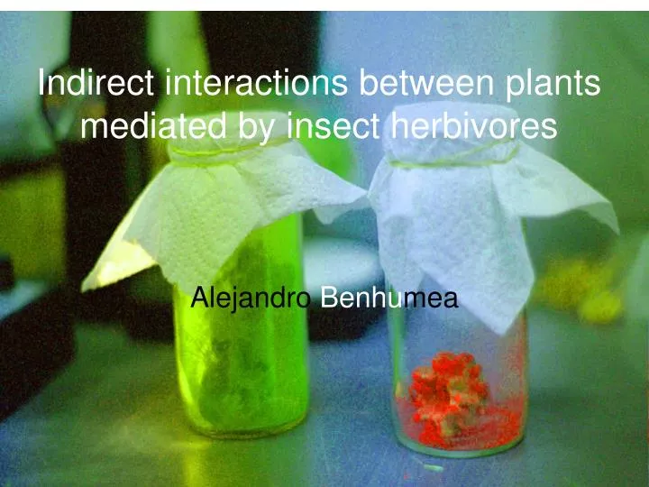 indirect interactions between plants mediated by insect herbivores