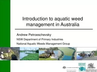 Introduction to aquatic weed management in Australia