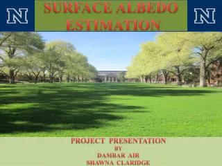 SURFACE ALBEDO ESTIMATION