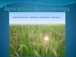 Agricultural Biotechnology - slide 1