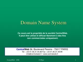 domain name system