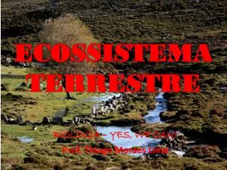 ecossistema terrestre