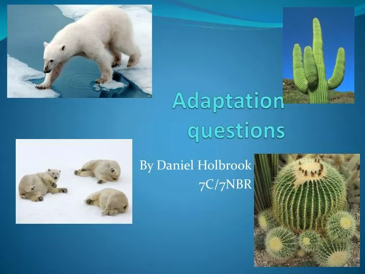 adaptation questions