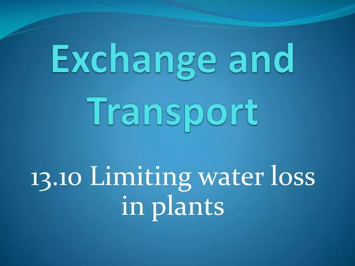 exchange and transport
