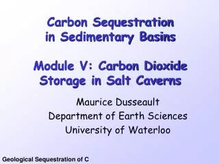Carbon Sequestration in Sedimentary Basins Module V: Carbon Dioxide Storage in Salt Caverns