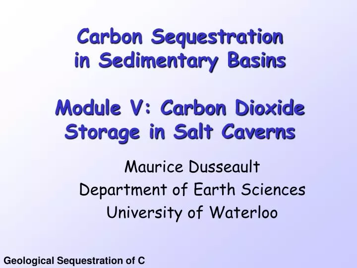 carbon sequestration in sedimentary basins module v carbon dioxide storage in salt caverns