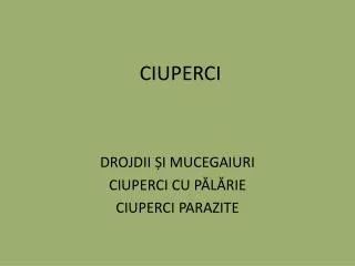 ciuperci
