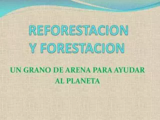 reforestacion y forestacion