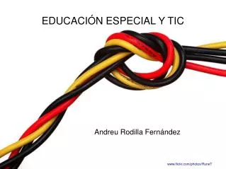 andreu rodilla fern ndez