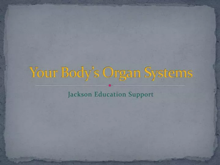 your body s organ systems