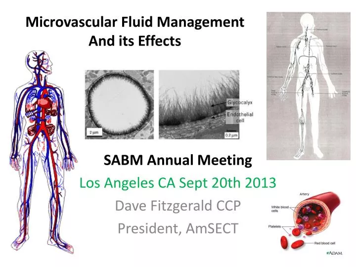 microvascular fluid management and its effects