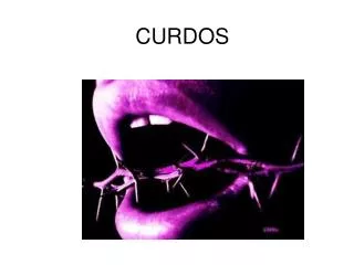 CURDOS