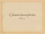 Glomerulonephritis - slide 1