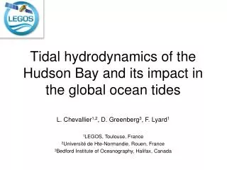 Tidal hydrodynamics of the Hudson Bay and its impact in the global ocean tides