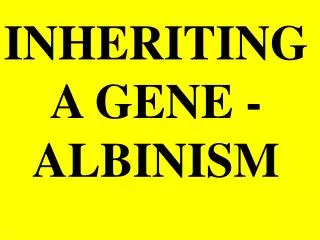 INHERITING A GENE - ALBINISM