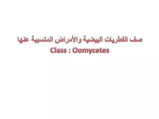 class oomycetes