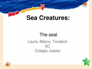 Sea Creatures: