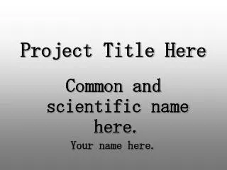 Project Title Here