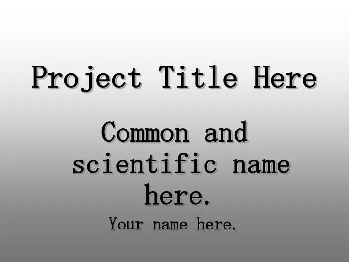 project title here