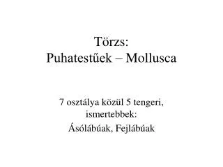 t rzs puhatest ek mollusca