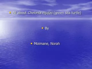All about Chelonia mydas (green sea turtle) By Moimane, Norah