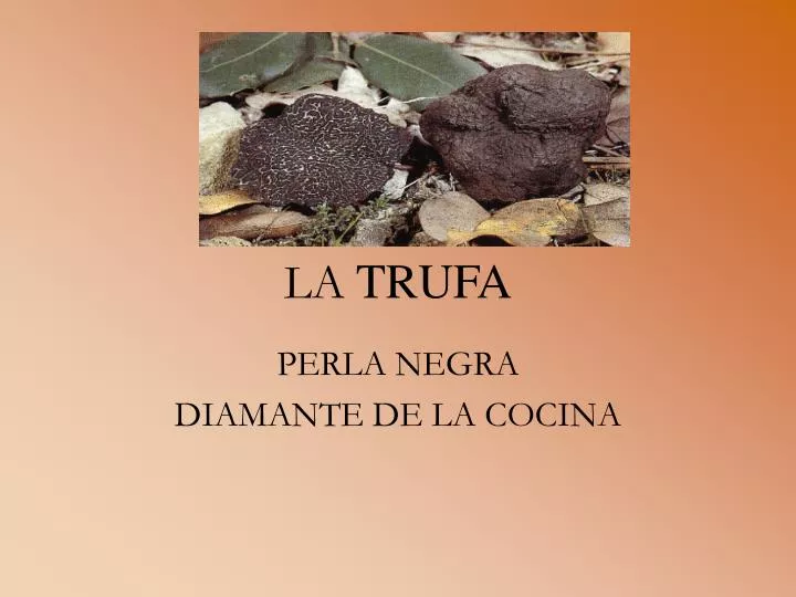 la trufa