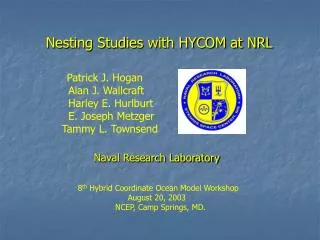 Nesting Studies with HYCOM at NRL