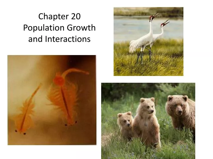 chapter 20 population growth and interactions
