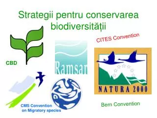 strategii pentru conservarea biodiversit ii