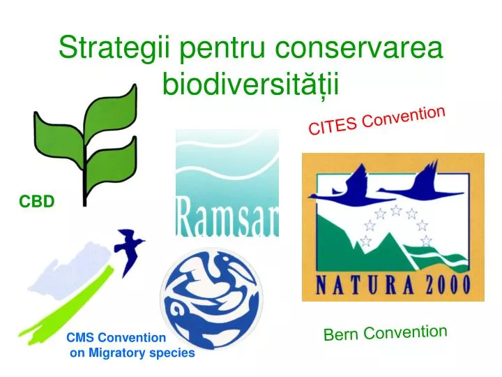 strategii pentru conservarea biodiversit ii