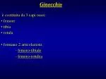 è costituita da 3 capi ossei: femore tibia rotula formano 2 articolazioni: - slide 1