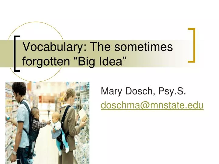vocabulary the sometimes forgotten big idea