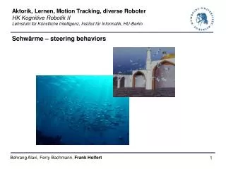 schw rme steering behaviors