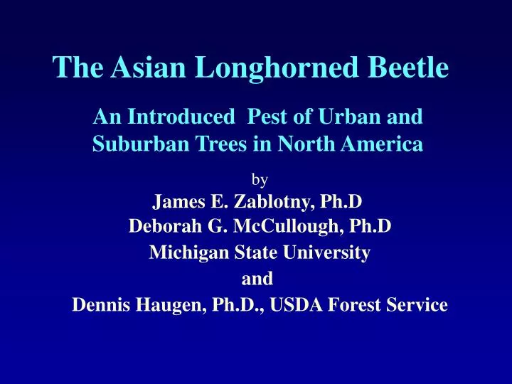 the asian longhorned beetle