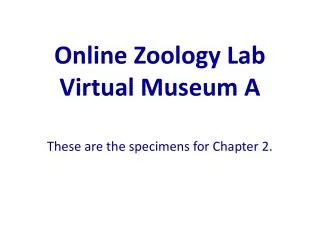 Online Zoology Lab Virtual Museum A