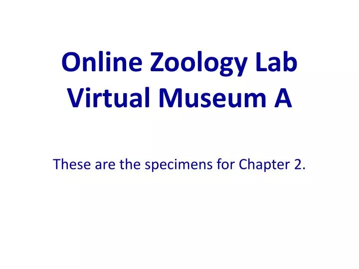 online zoology lab virtual museum a