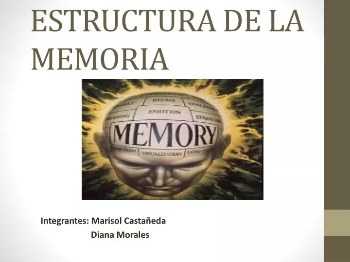 naturaleza proceso y estructura de la memoria